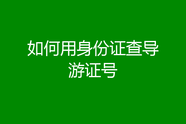 如何用身份证查导游证号