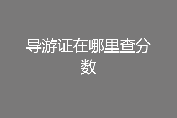 导游证在哪里查分数