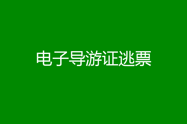 电子导游证逃票