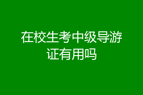 在校生考中级导游证有用吗