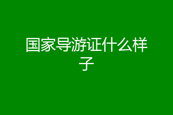 国家导游证什么样子