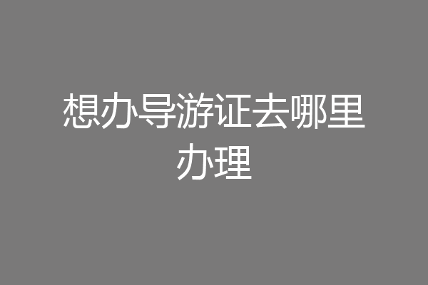想办导游证去哪里办理