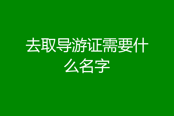 去取导游证需要什么名字