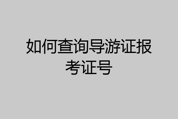 如何查询导游证报考证号