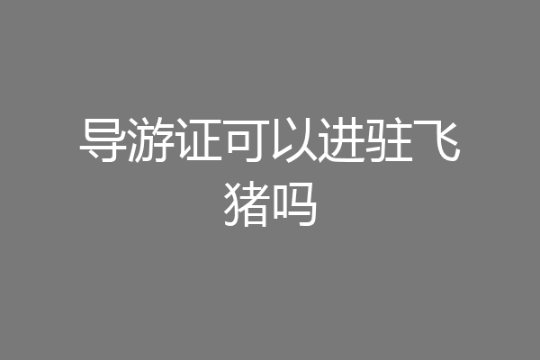 导游证可以进驻飞猪吗