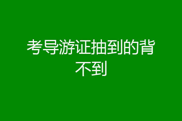 考导游证抽到的背不到