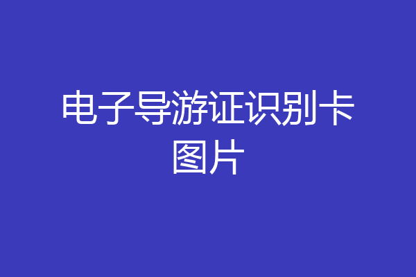 电子导游证识别卡图片
