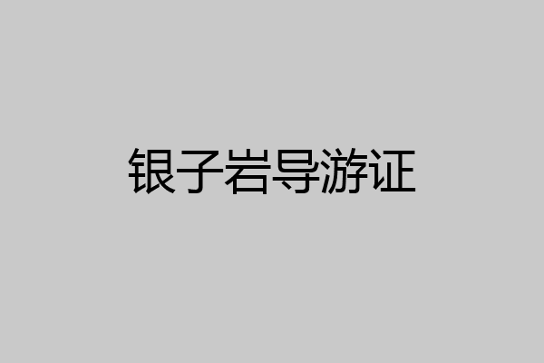 银子岩导游证