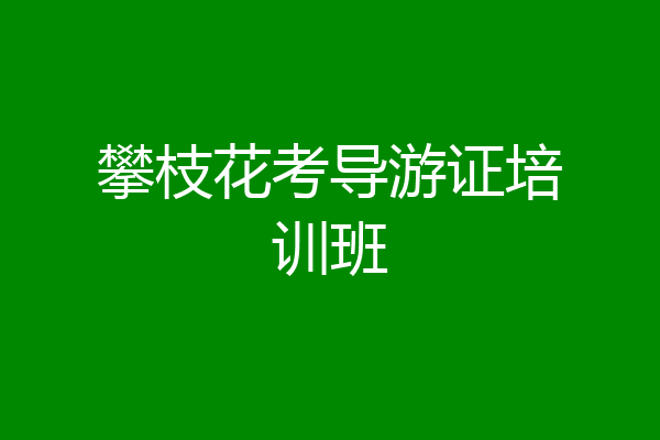 攀枝花考导游证培训班