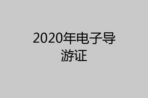 2020年电子导游证