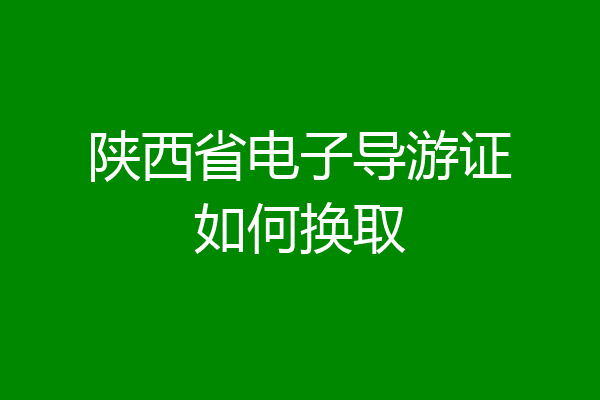 陕西省电子导游证如何换取