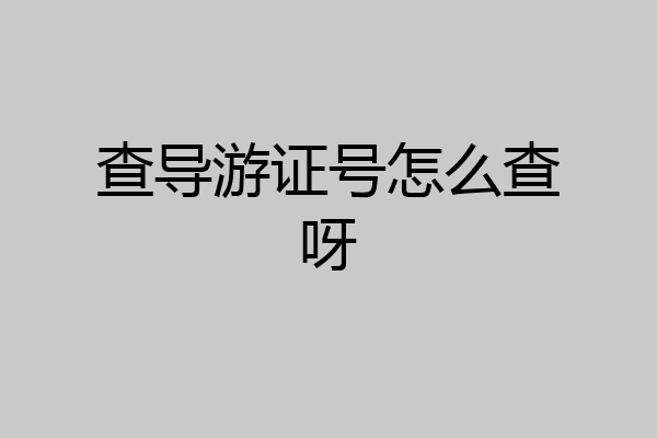 查导游证号怎么查呀