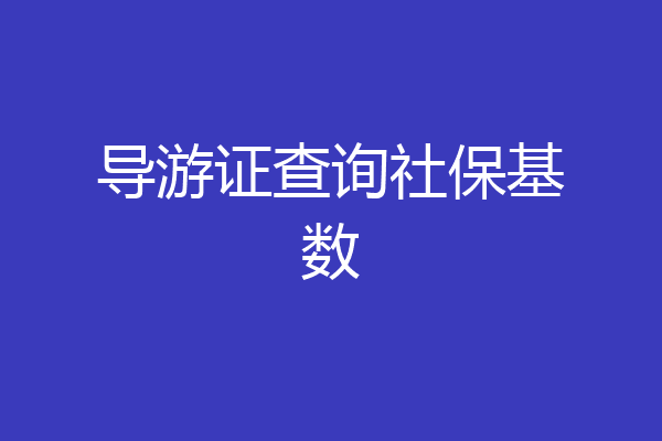 导游证查询社保基数