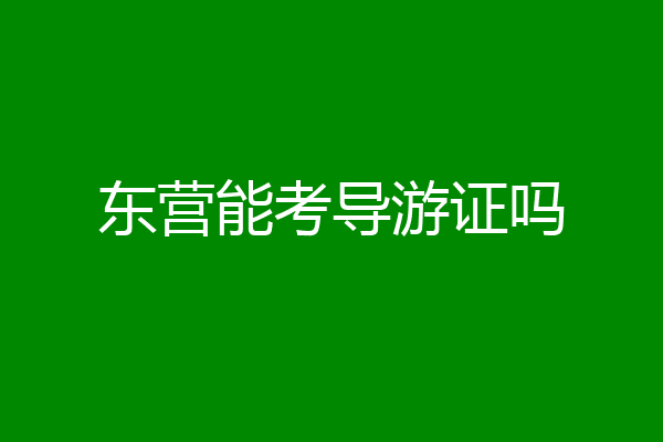 东营能考导游证吗