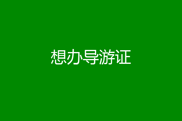 想办导游证