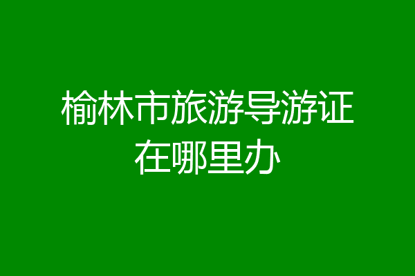 榆林市旅游导游证在哪里办