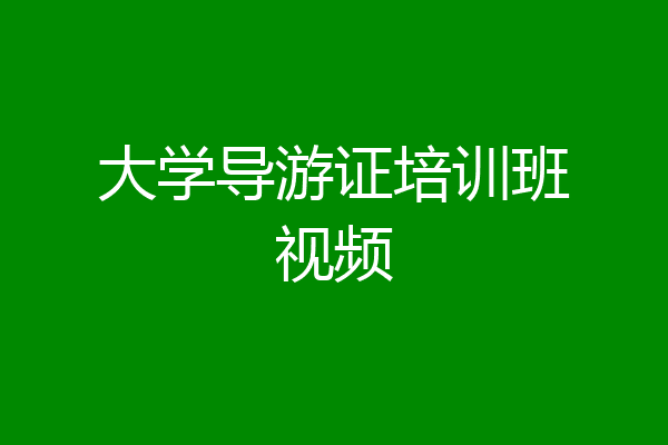 大学导游证培训班视频