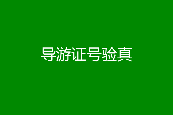 导游证号验真