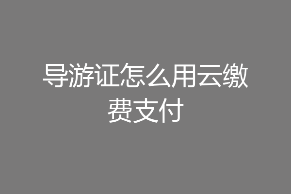 导游证怎么用云缴费支付