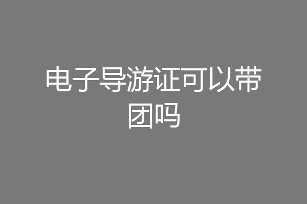 电子导游证可以带团吗