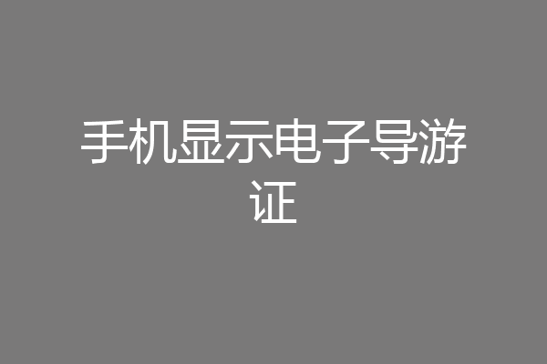 手机显示电子导游证