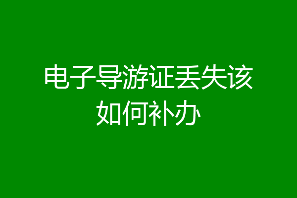 电子导游证丢失该如何补办