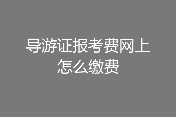 导游证报考费网上怎么缴费