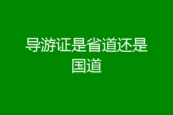 导游证是省道还是国道
