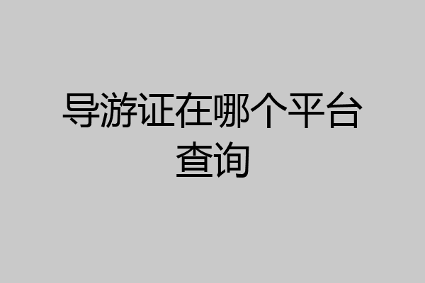 导游证在哪个平台查询