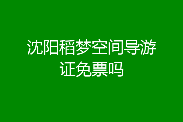 沈阳稻梦空间导游证免票吗