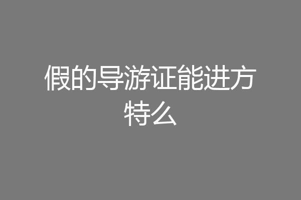假的导游证能进方特么