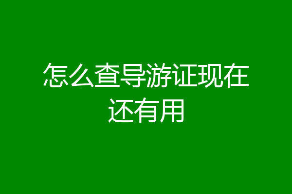 怎么查导游证现在还有用