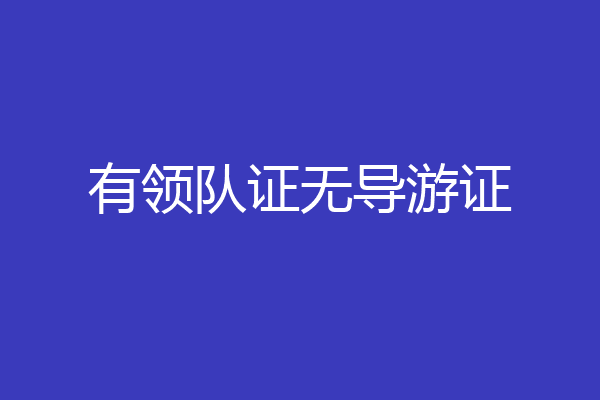 有领队证无导游证