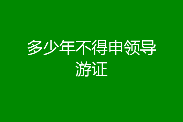 多少年不得申领导游证