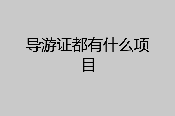 导游证都有什么项目