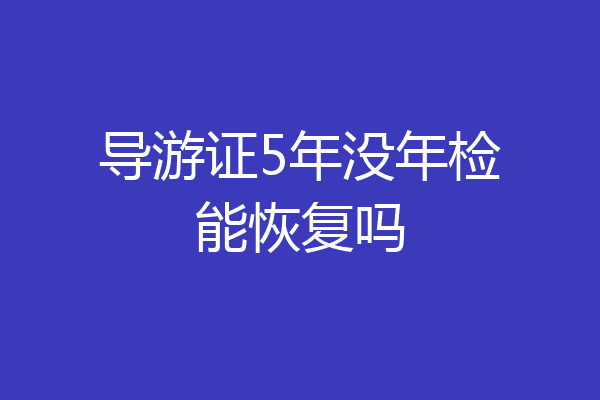 导游证5年没年检能恢复吗