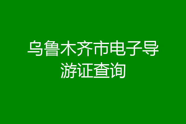 乌鲁木齐市电子导游证查询