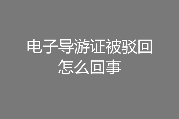 电子导游证被驳回怎么回事