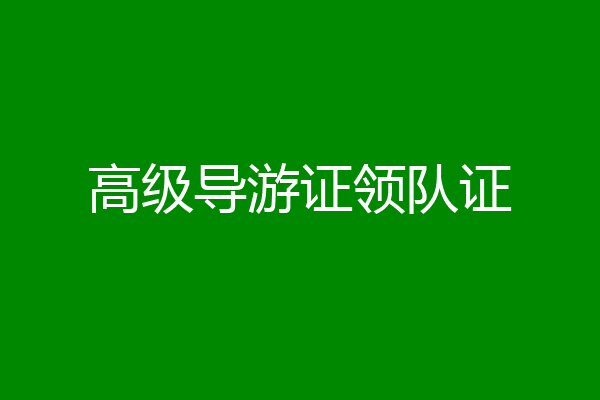 高级导游证领队证