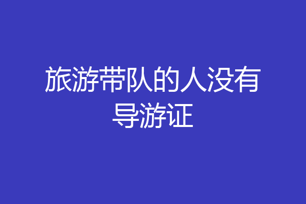 旅游带队的人没有导游证