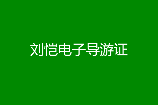 刘恺电子导游证