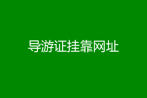 导游证挂靠网址