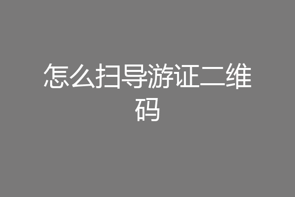 怎么扫导游证二维码