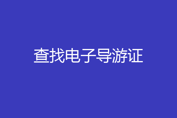 查找电子导游证