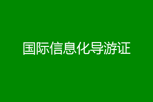 国际信息化导游证