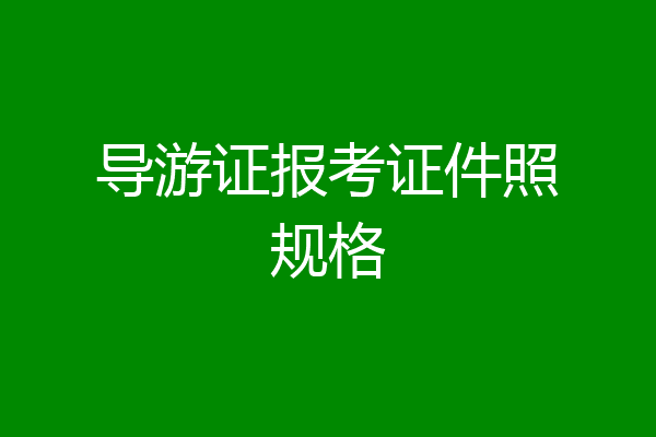 导游证报考证件照规格