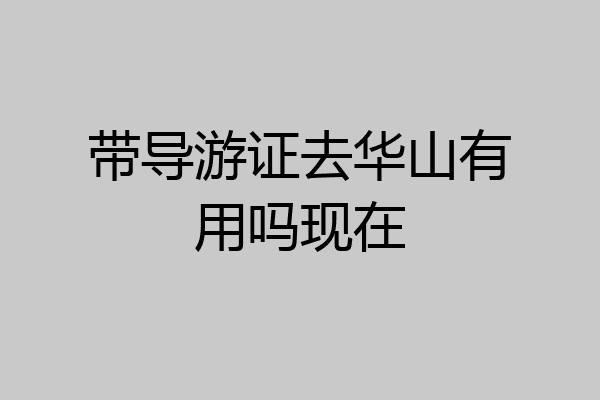 带导游证去华山有用吗现在