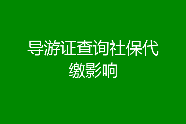 导游证查询社保代缴影响