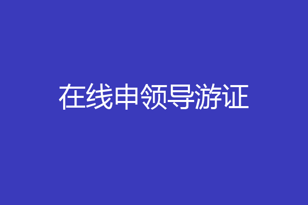 在线申领导游证