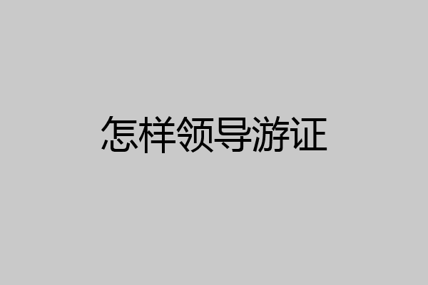 怎样领导游证